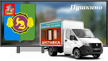 Доставка входных дверей в Пушкино