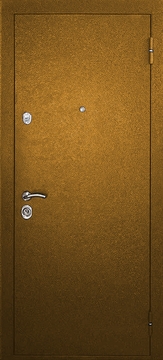 Стальная порошковая дверь ДЗ-8