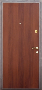 Входные двери с ламинатом ДП-4