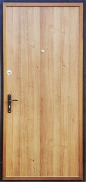 Входные двери с ламинатом ДЛ-5
