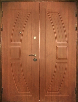 Дверь двустворчатая ДТ-11