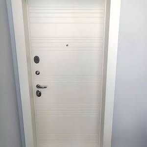 Металлическая дверь в квартиру