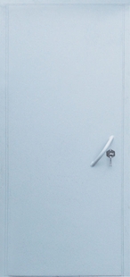 Железная дверь с покрасом НЦ ТД-6